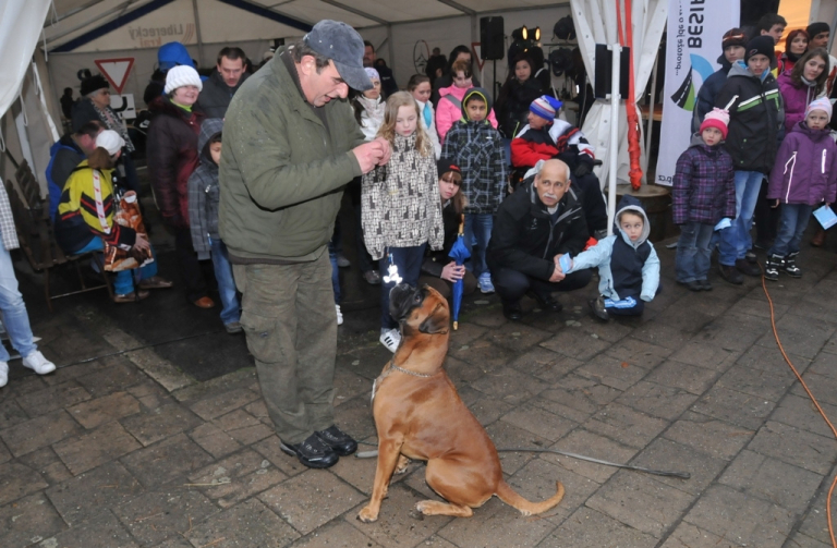 Na Dni městské policie se na DDH v Liberci představí i psovodi.